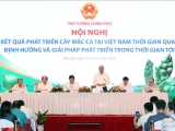 Thủ tướng Nguyễn Xuân Phúc: Cây mắc ca 'đi sau nhưng phải về trước'